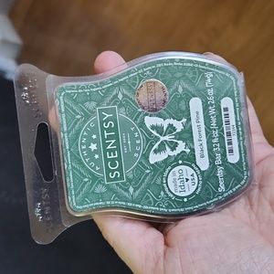 Scentsy Black Forest Pine Bar